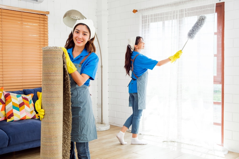 Professional cleaner in a modern living room
